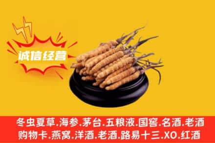 九江市柴桑回收冬虫夏草
